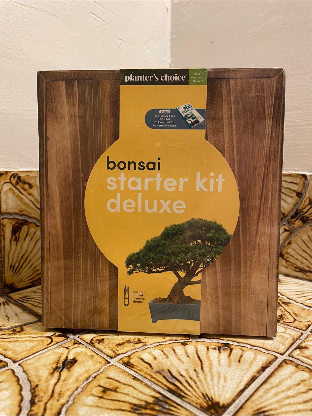 Bonsai Starter Kit Deluxe - Yellow & Brown